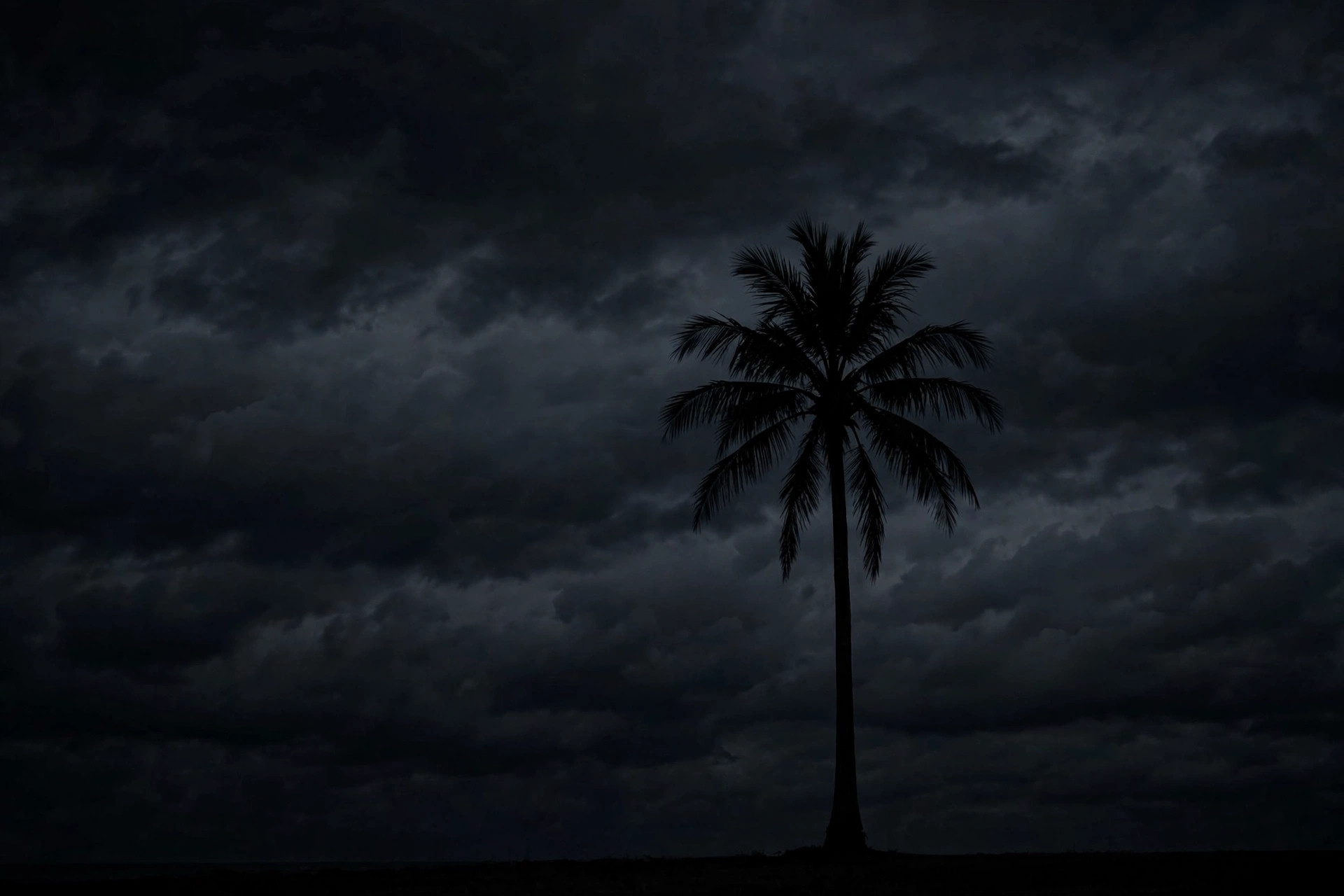 Palem di malam hari